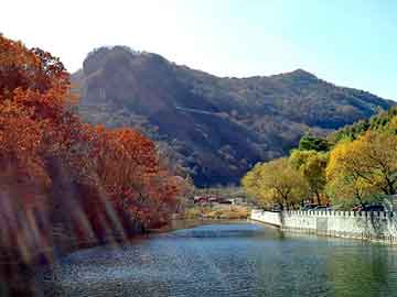 澳门天天免费精准大全，石油树脂厂家